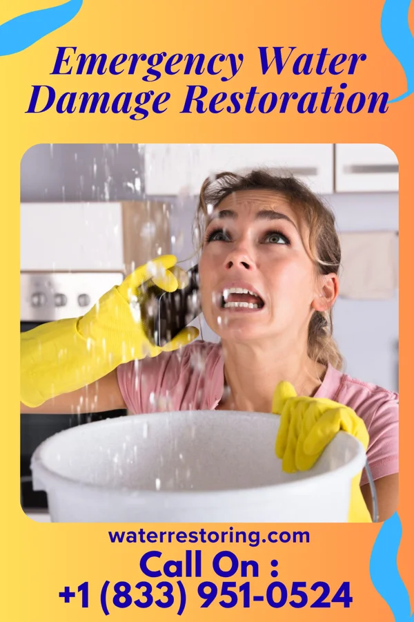 Emergency Water Damage Restoration in Danville, IL