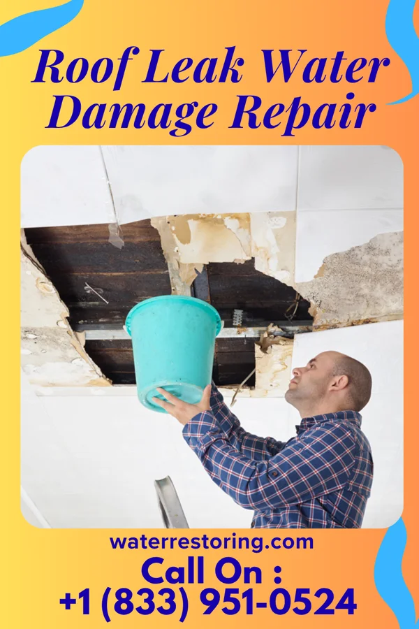 Roof Leak Water Damage Repair in Danville, IL